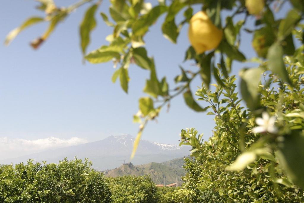 B&B Sole Trappitello Buitenkant foto
